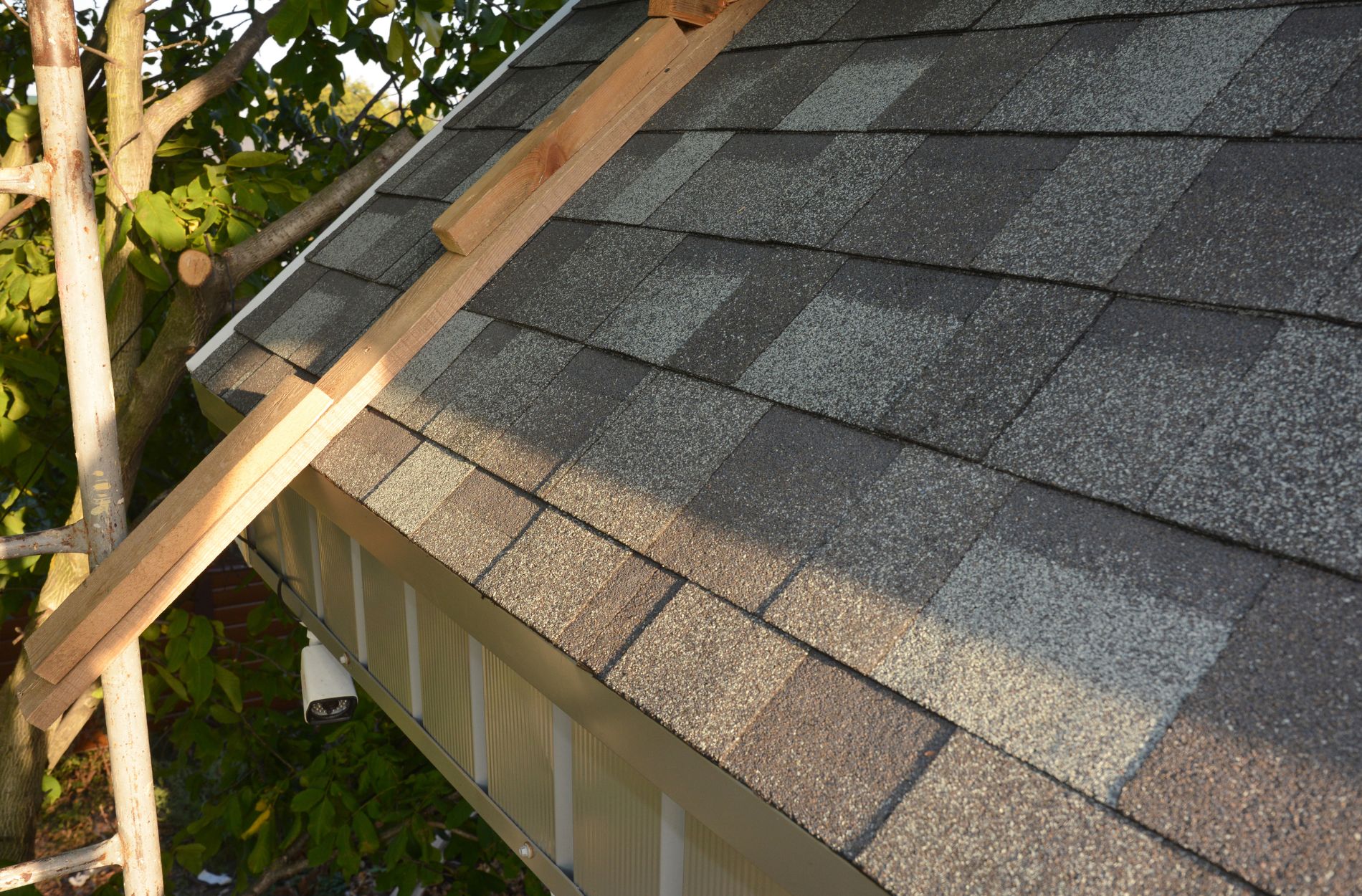 Asphalt Shingle Roof installation