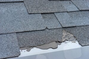 Damaged Shingle Roof