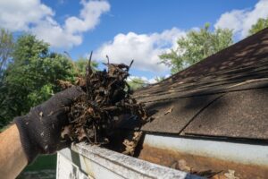 Roof Maintenance