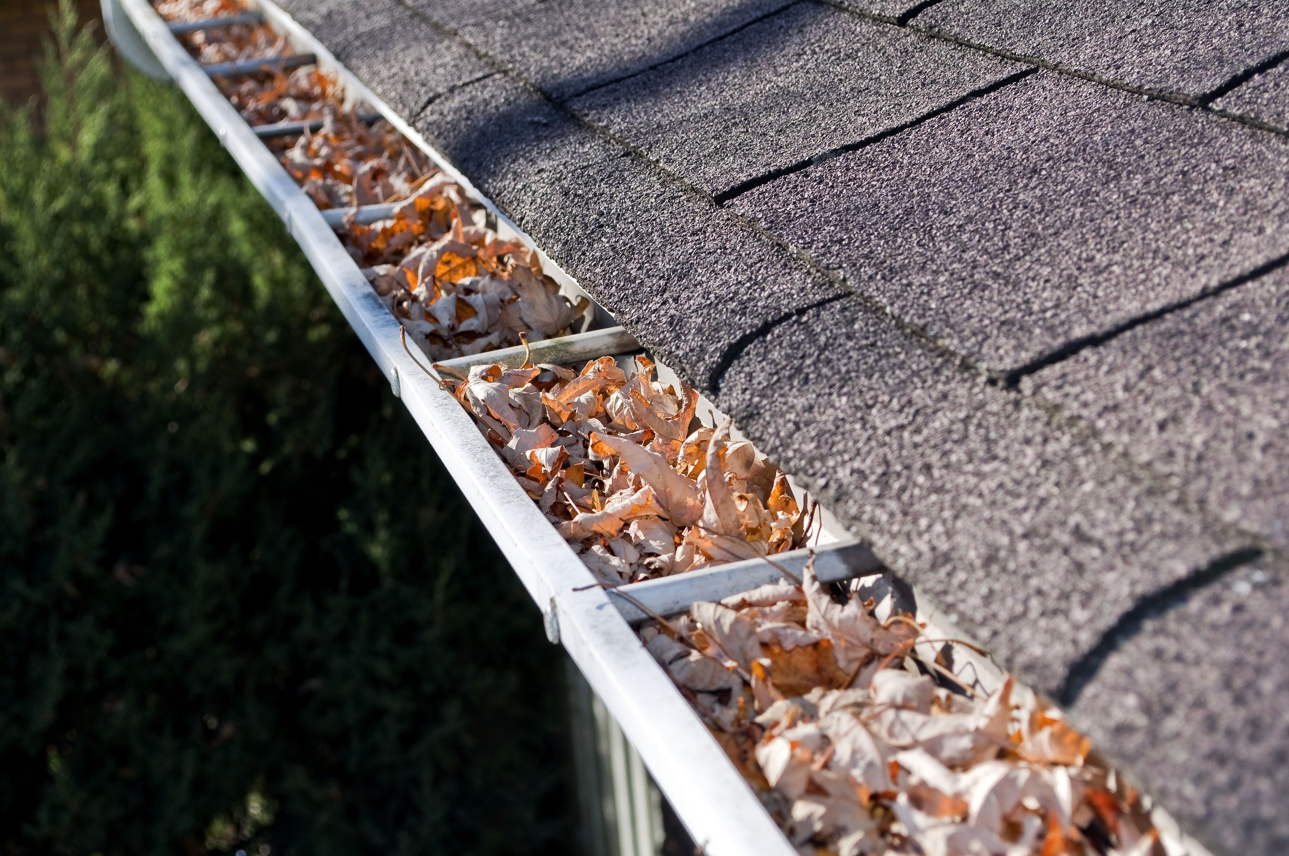 Gutter Maintenance