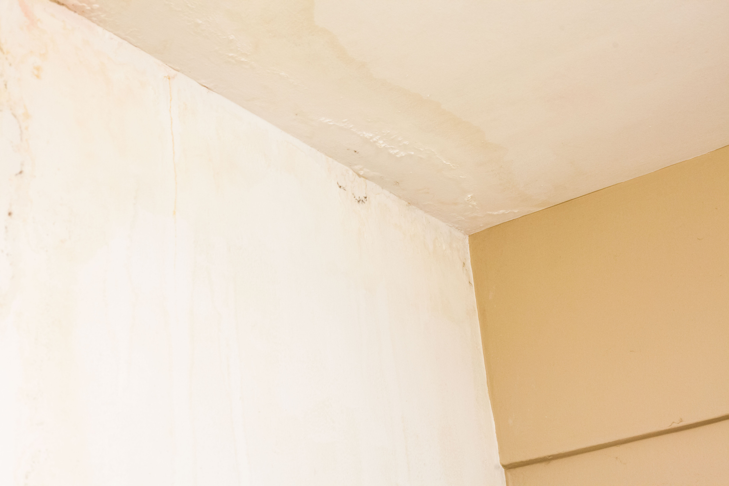 A beige wall with significant water damage exhibits peeling paint and stains, hinting at costly repairs. The ceiling also displays moisture-related issues, marked by discoloration and irregular patches, signaling possible early detection of roof damage.