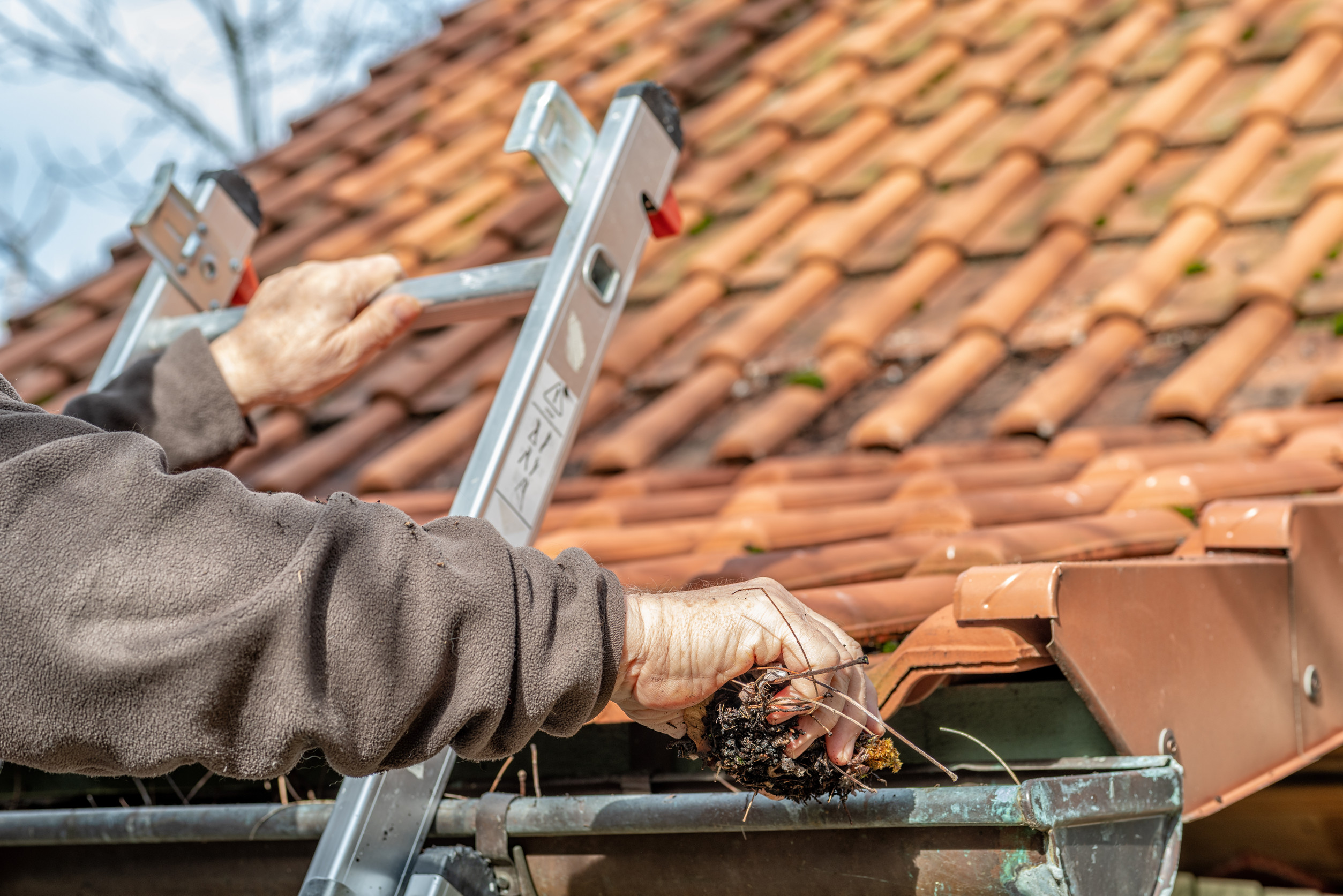 A person cleaning a gutter next to a tiled roof. They are holding a clump of debris while standing on a ladder. The image focuses on their hands and the gutter, with a clear sky in the background.